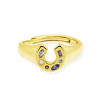 Mini Lucky Charm Adjustable Signet Ring - Junk Jewels