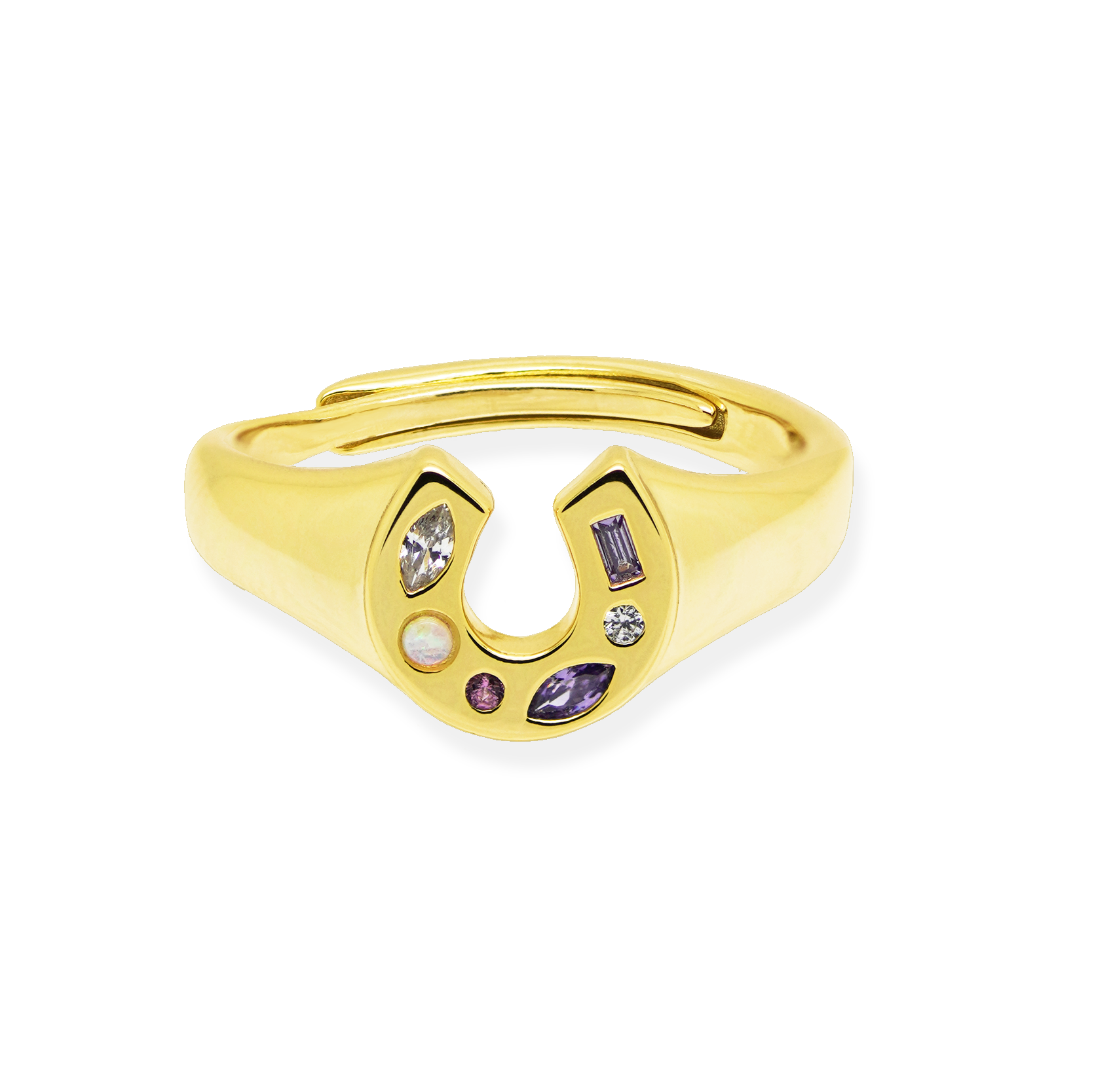 Mini Lucky Charm Adjustable Signet Ring - Junk Jewels