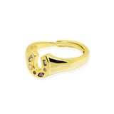 Mini Lucky Charm Adjustable Signet Ring - Junk Jewels