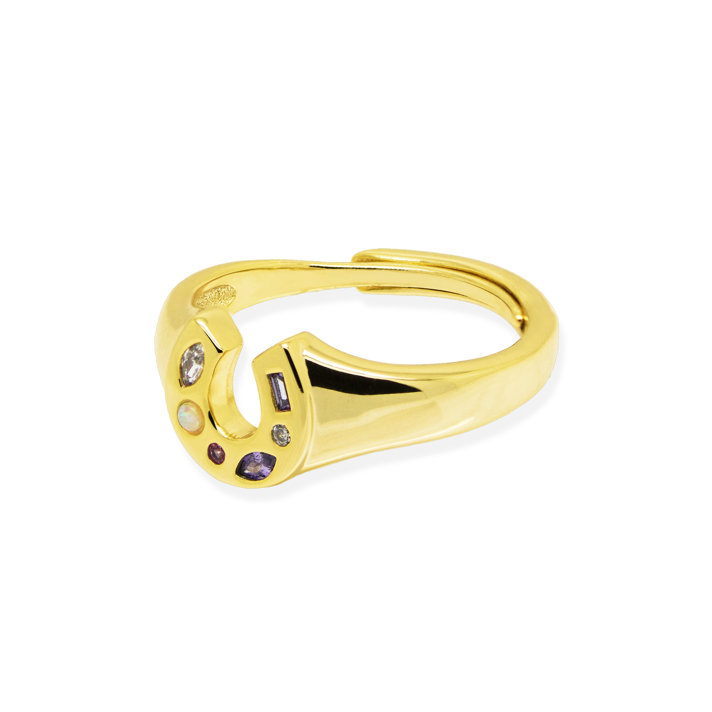 Mini Lucky Charm Adjustable Signet Ring - Junk Jewels