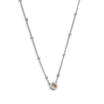 Champagne Jewelled Charm Necklace - Junk Jewels
