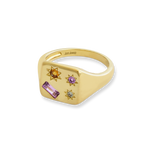 Kaleidoscope Disco Signet Ring - Junk Jewels