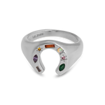 Kaleidoscope Lucky Charm Signet Ring - Junk Jewels